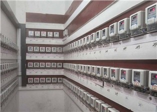 遠程抄表系統開啟城市資源管理新范式—老王說表